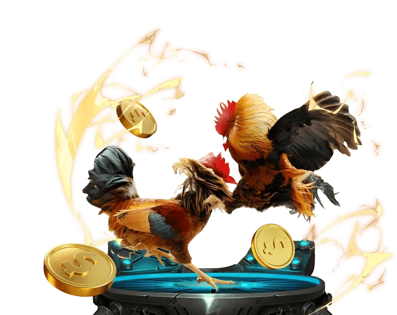 Ví điện tử Momo, ZaloPay, ViettelPay